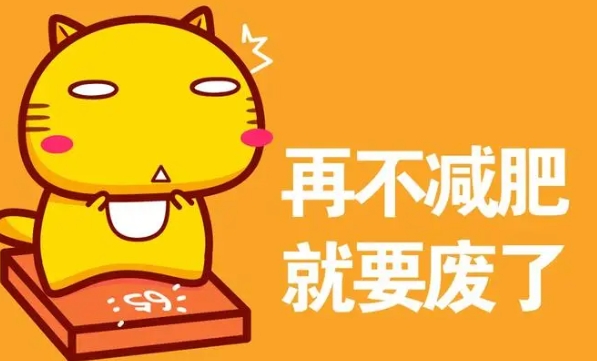 一年减重20斤，我的纯饮食减肥心得 的封面